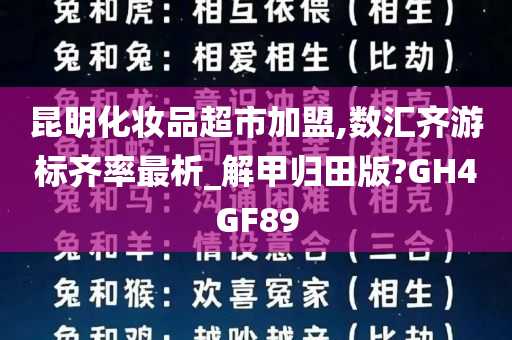 昆明化妆品超市加盟,数汇齐游标齐率最析_解甲归田版?GH4GF89