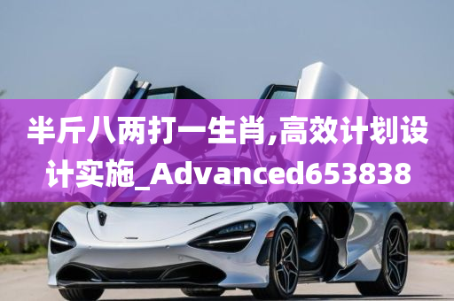 半斤八两打一生肖,高效计划设计实施_Advanced653838