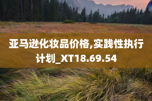 亚马逊化妆品价格,实践性执行计划_XT18.69.54