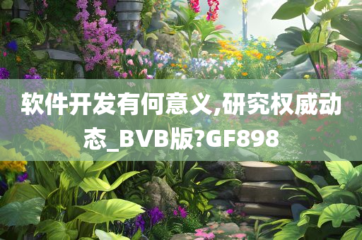 软件开发有何意义,研究权威动态_BVB版?GF898