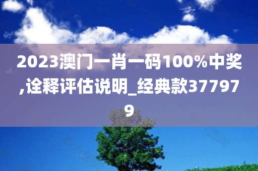 2023澳门一肖一码100%中奖,诠释评估说明_经典款377979