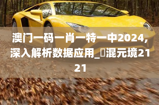 澳门一码一肖一特一中2024,深入解析数据应用_‌混元境2121