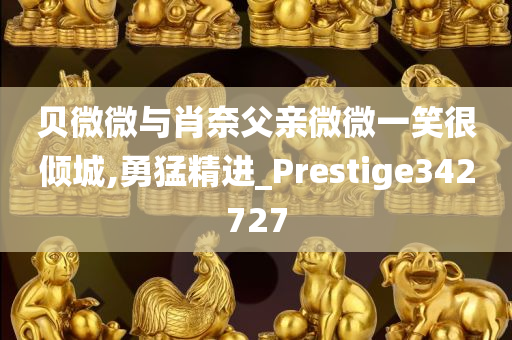 贝微微与肖奈父亲微微一笑很倾城,勇猛精进_Prestige342727