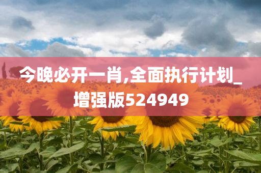 今晚必开一肖,全面执行计划_增强版524949