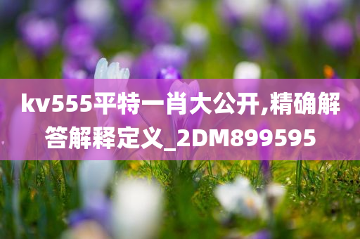 kv555平特一肖大公开,精确解答解释定义_2DM899595