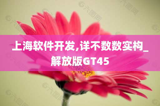 上海软件开发,详不数数实构_解放版GT45