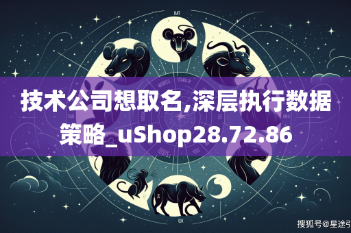 技术公司想取名,深层执行数据策略_uShop28.72.86