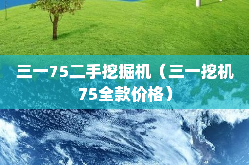 三一75二手挖掘机（三一挖机75全款价格）