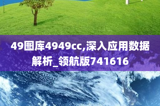 49图库4949cc,深入应用数据解析_领航版741616