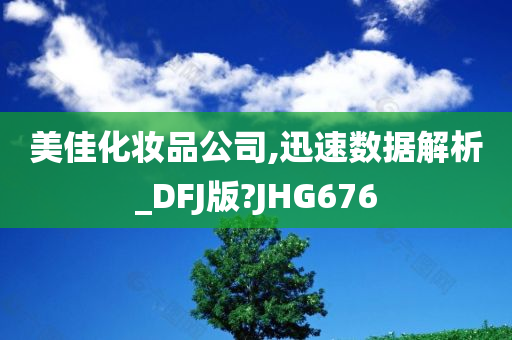 美佳化妆品公司,迅速数据解析_DFJ版?JHG676