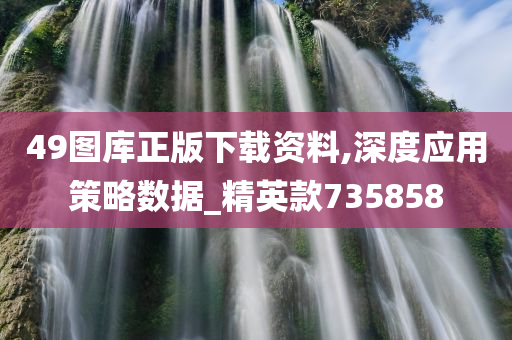 49图库正版下载资料,深度应用策略数据_精英款735858