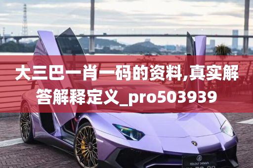 大三巴一肖一码的资料,真实解答解释定义_pro503939