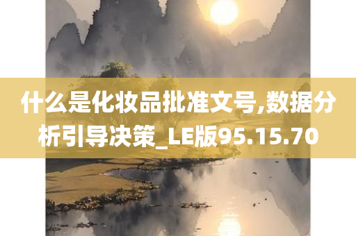 什么是化妆品批准文号,数据分析引导决策_LE版95.15.70