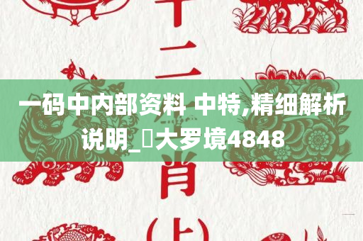 一码中内部资料 中特,精细解析说明_‌大罗境4848