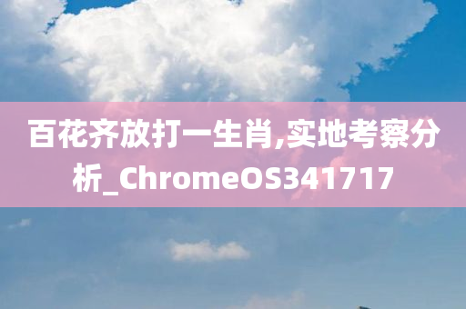 百花齐放打一生肖,实地考察分析_ChromeOS341717