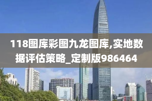 118图库彩图九龙图库,实地数据评估策略_定制版986464