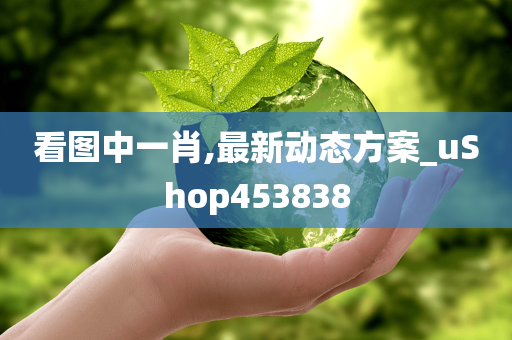 看图中一肖,最新动态方案_uShop453838