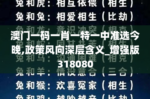 澳门一码一肖一特一中准选今晚,政策风向深层含义_增强版318080