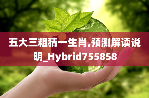 五大三粗猜一生肖,预测解读说明_Hybrid755858