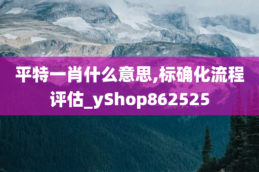 平特一肖什么意思,标确化流程评估_yShop862525