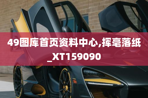 49图库首页资料中心,挥毫落纸_XT159090