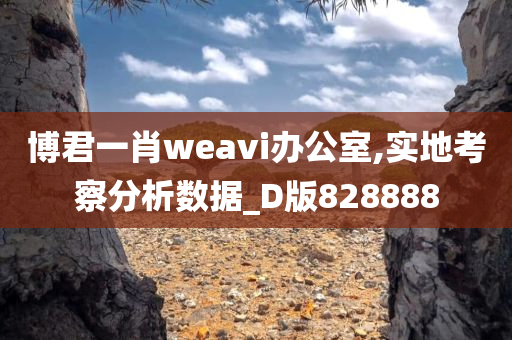 博君一肖weavi办公室,实地考察分析数据_D版828888