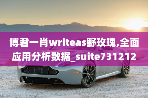 博君一肖writeas野玫瑰,全面应用分析数据_suite731212