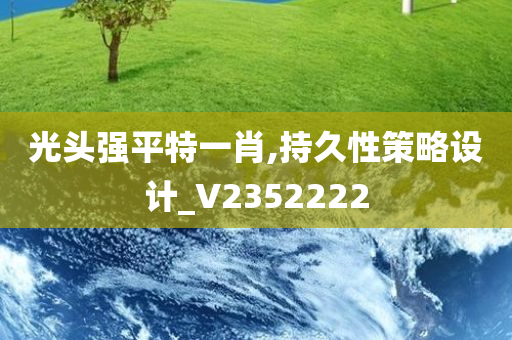 光头强平特一肖,持久性策略设计_V2352222