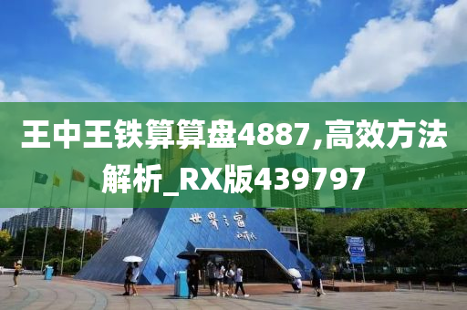 王中王铁算算盘4887,高效方法解析_RX版439797