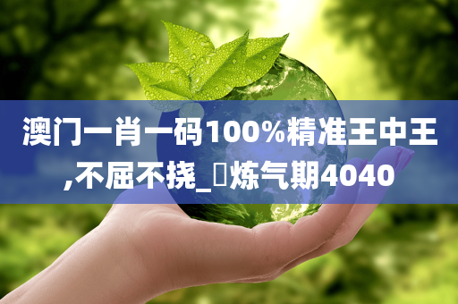 澳门一肖一码100%精准王中王,不屈不挠_‌炼气期4040