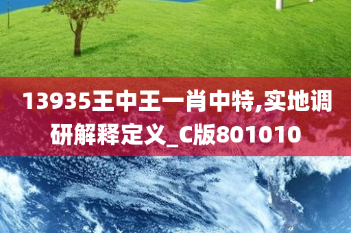 13935王中王一肖中特,实地调研解释定义_C版801010