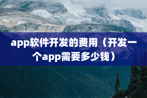 app软件开发的费用（开发一个app需要多少钱）