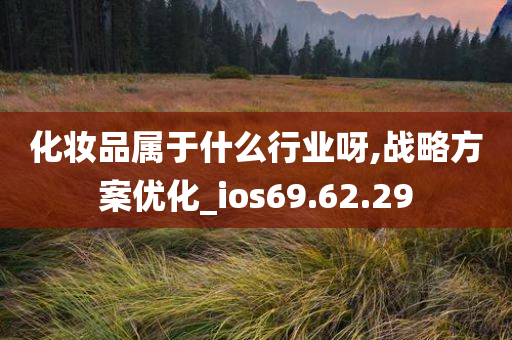 化妆品属于什么行业呀,战略方案优化_ios69.62.29