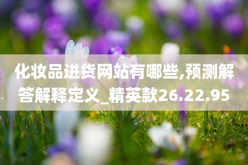 化妆品进货网站有哪些,预测解答解释定义_精英款26.22.95