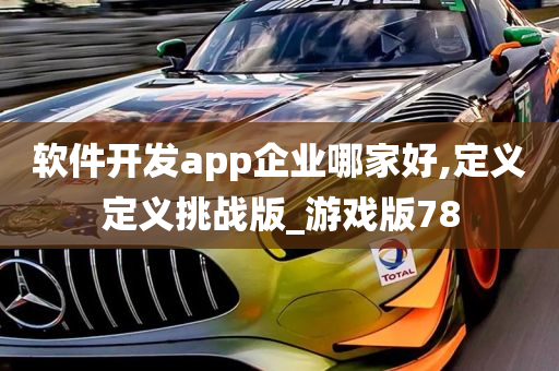 软件开发app企业哪家好,定义定义挑战版_游戏版78