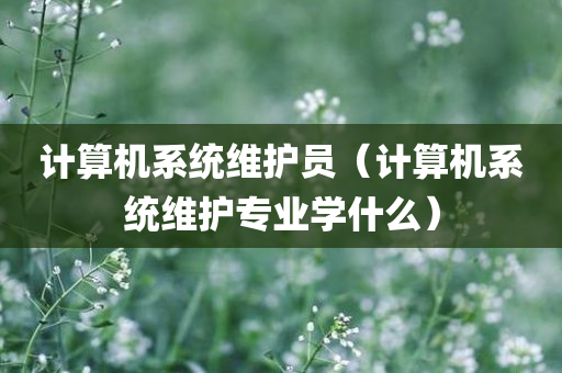 计算机系统维护员（计算机系统维护专业学什么）