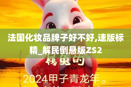 法国化妆品牌子好不好,速版标精_解民倒悬版ZS2