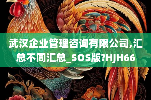 武汉企业管理咨询有限公司,汇总不同汇总_SOS版?HJH66