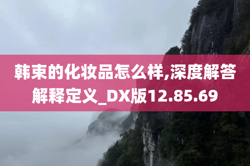 韩束的化妆品怎么样,深度解答解释定义_DX版12.85.69