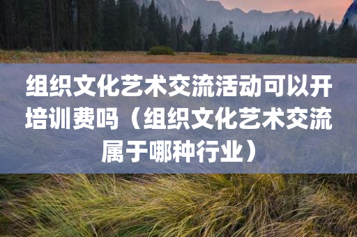 组织文化艺术交流活动可以开培训费吗（组织文化艺术交流属于哪种行业）