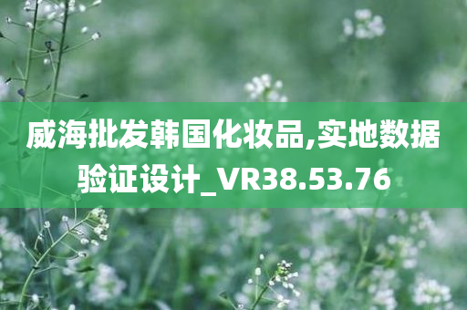 威海批发韩国化妆品,实地数据验证设计_VR38.53.76