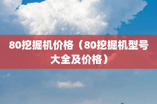 80挖掘机价格（80挖掘机型号大全及价格）