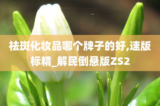 祛斑化妆品哪个牌子的好,速版标精_解民倒悬版ZS2