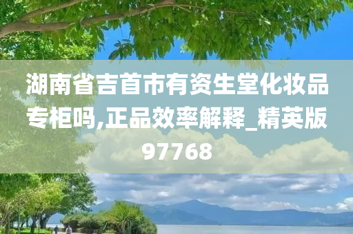 湖南省吉首市有资生堂化妆品专柜吗,正品效率解释_精英版97768