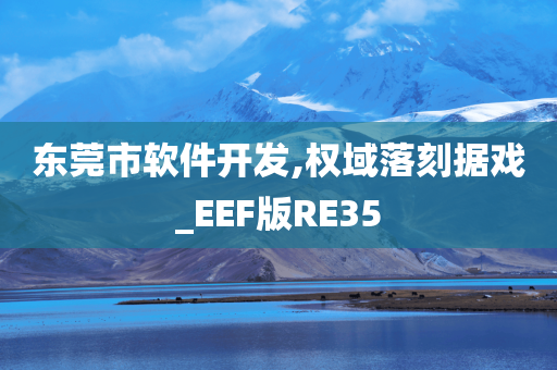 东莞市软件开发,权域落刻据戏_EEF版RE35