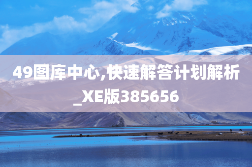 49图库中心,快速解答计划解析_XE版385656