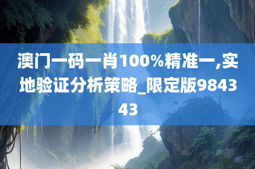 澳门一码一肖100%精准一,实地验证分析策略_限定版984343