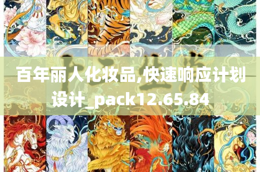 百年丽人化妆品,快速响应计划设计_pack12.65.84