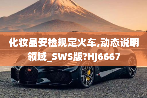 化妆品安检规定火车,动态说明领域_SWS版?HJ6667