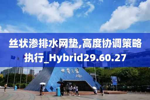 丝状渗排水网垫,高度协调策略执行_Hybrid29.60.27